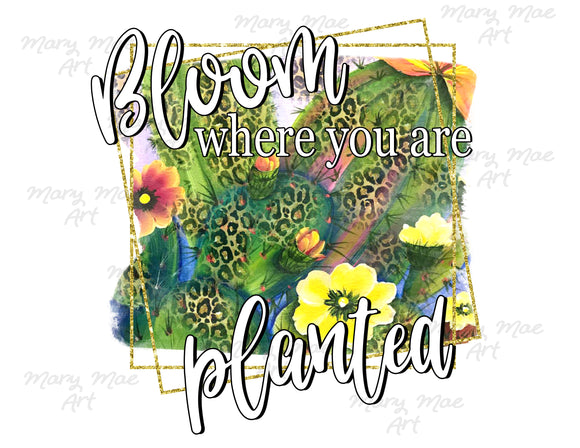 Bloom Where you are Planted - Sublimation Transfer