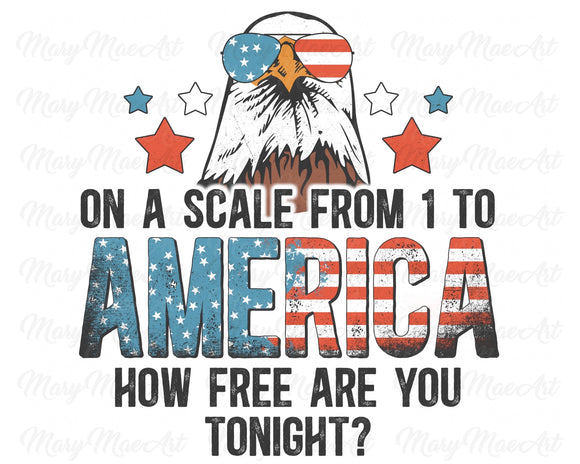 On a Scale of One To America - Sublimation Transfer